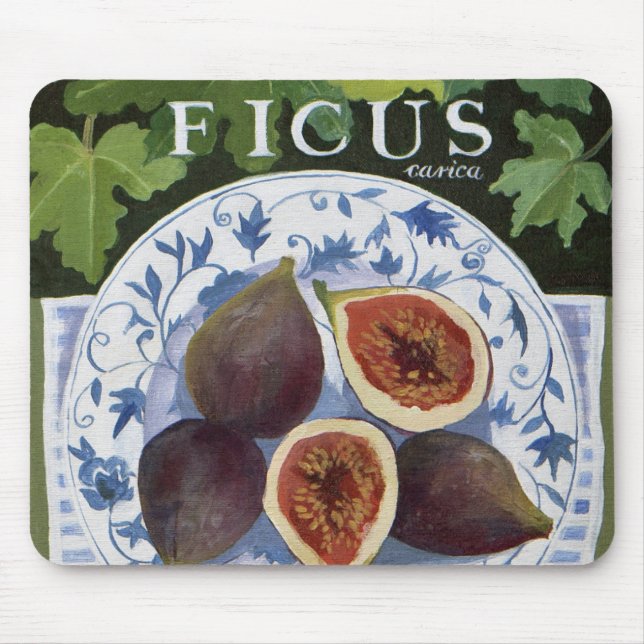 Fieus Musmatta (Framsidan)