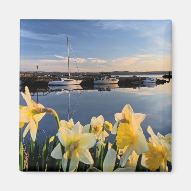 Fife, Skottlands scenbild Magnet (Framsidan)