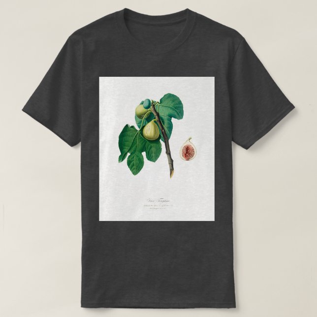 Fig Fico Troiano från Pomona Italiana 1817 1839 T Shirt (Design framsida)