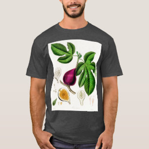 Fig Ficus carica illustration från Mediccal Botany T Shirt