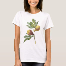 fig (Ficusviolacea) vid Redouté Tee