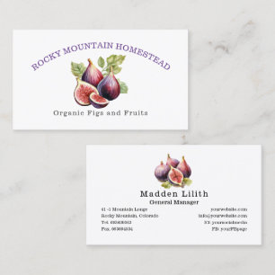 Fig Fruit Organic Botanical Illustration Visitkort