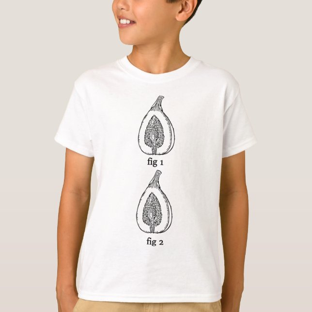 Fig-frukt, fig. 1 Figg 2 T Shirt (Framsida)
