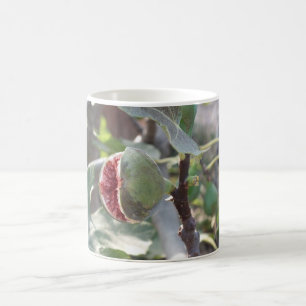 Fig Kaffemugg