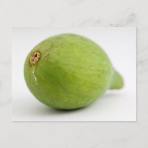 Fig Vykort