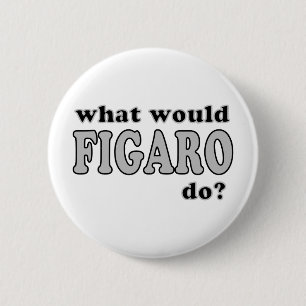 Figaro Knapp
