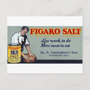 Figaro Salt Ad Washington, IA Vykort
