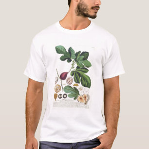 Figen som inristas av Johann Jakob Haid (1704-67) Tee Shirt