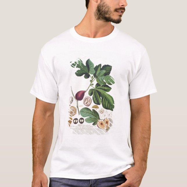 Figen som inristas av Johann Jakob Haid (1704-67) Tee Shirt (Framsida)