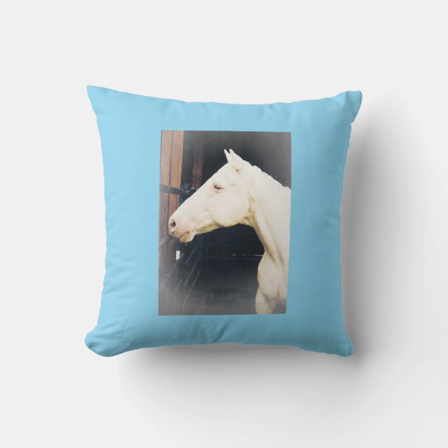 Fight Rocky Fight Dekorativ kudde (Framsida)