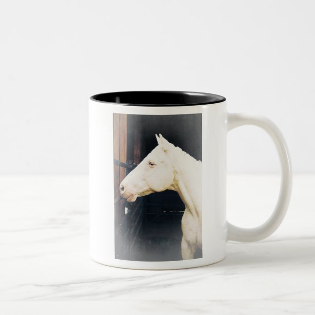 Fight Rocky Fight Mugg (Höger)