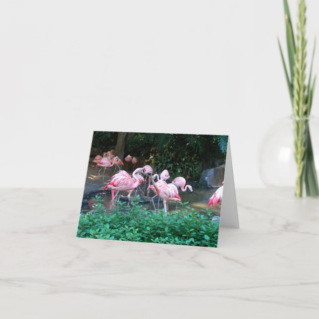 Fighting Flamingos Note Card Kort (Framsida)