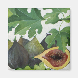 Figs 2013 magnet