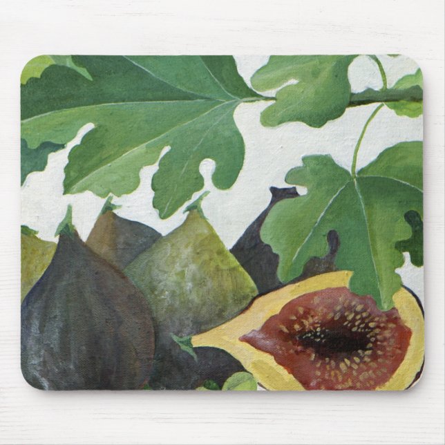 Figs 2013 musmatta (Framsidan)