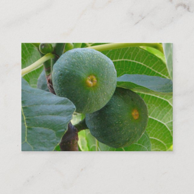 Figs Visitkort (Framsida)