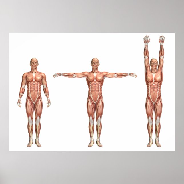 figur som visar axellabort och bortförande poster (Framsidan)