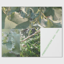 Figursätta Papper/MMETROPOMdesign