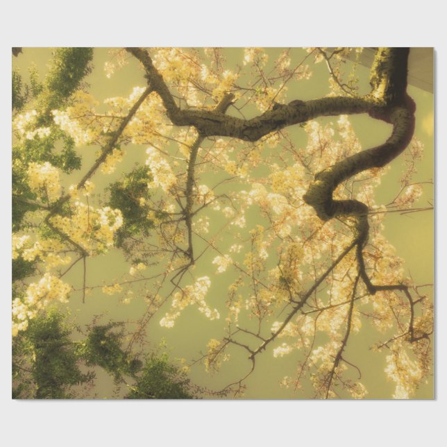 Figursättning av Papper Blommar för roll Cherry  G Presentpapper (Platt)