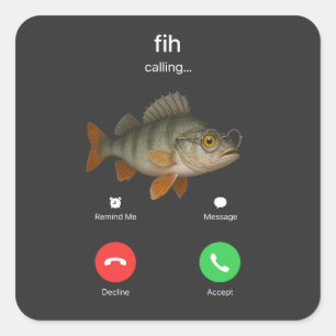 Fih Calling Påminn mig Meddelande Avböj Acceptera  Fyrkantigt Klistermärke