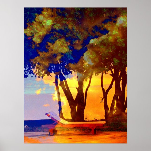 FIJI SERENITY POSTER (Framsidan)