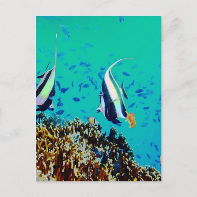 Fiji Vatten vykort (Framsida)