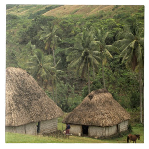Fiji, Viti Levu, Navala, Traditionella Bure-hus Kakelplatta