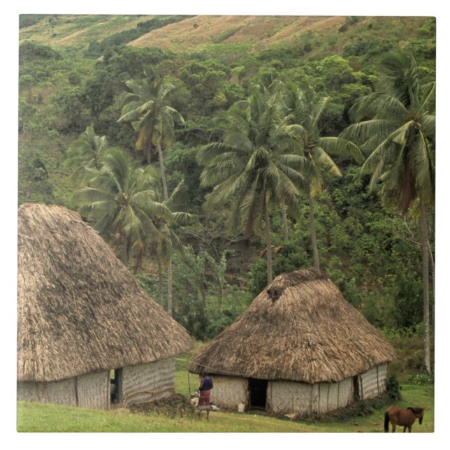 Fiji, Viti Levu, Navala, Traditionella Bure-hus Kakelplatta (Framsidan)