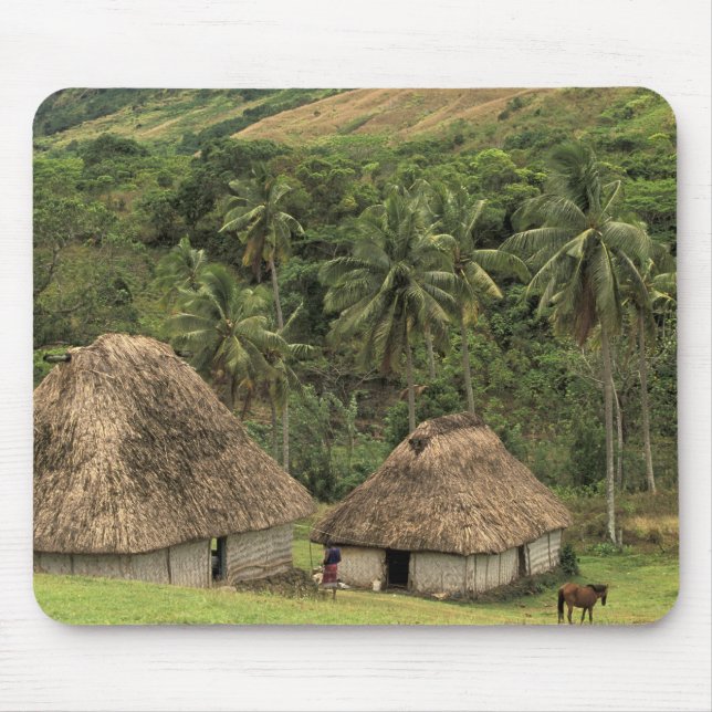 Fiji, Viti Levu, Navala, Traditionella Bure-hus Musmatta (Framsidan)
