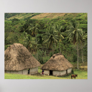 Fiji, Viti Levu, Navala, Traditionella Bure-hus Poster