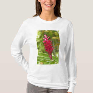 Fiji, Viti Levu-ön. Blomma. T-shirt