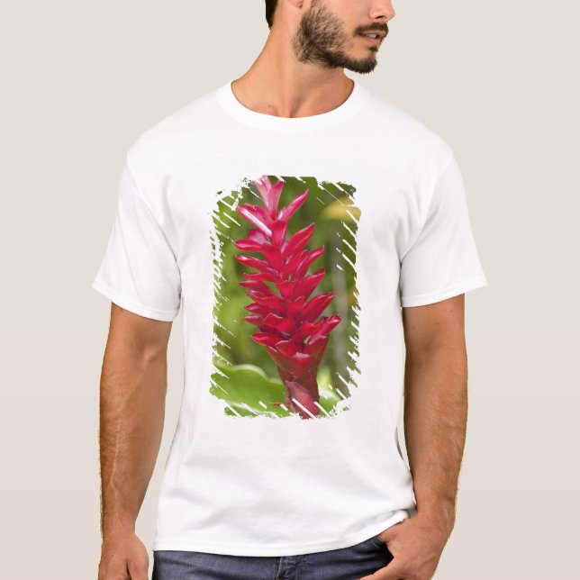 Fiji, Viti Levu-ön. Blomma. Tee Shirt (Framsida)