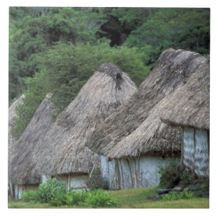 Fiji, Viti, Traditionella hyddhus. Kakelplatta