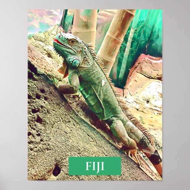 Fijian Iguana lizard reptile Poster (Framsidan)