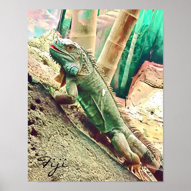 Fijian Iguana lizard reptile Poster (Framsidan)