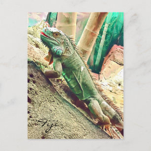 Fijian Iguana lizard reptile Vykort