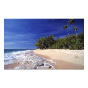 Fijiöarna, Tavarua. Denna strand på Tavarua, Fototryck