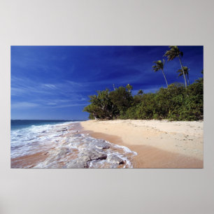 Fijiöarna, Tavarua. Denna strand på Tavarua. Poster