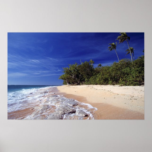 Fijiöarna, Tavarua. Denna strand på Tavarua. Poster (Framsidan)