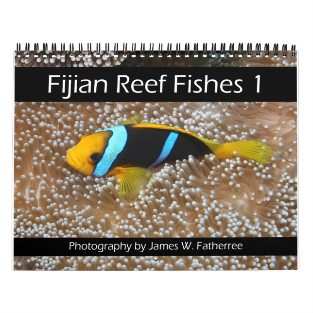 Fijis rev Fiskekalender 1 Kalender (Omslag)