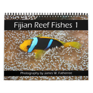 Fijis rev Fiskekalender 1 Kalender