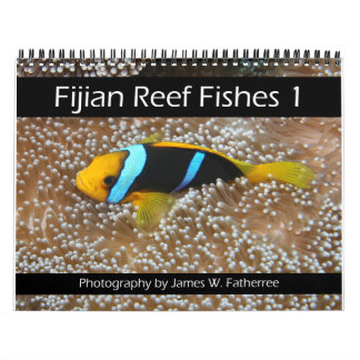 Fijis rev Fiskekalender 1 Kalender