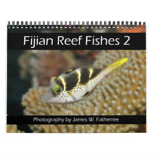 Fijis rev Fiskekalender 2 Kalender
