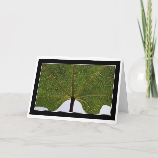 "Fikonlöv ", Kort (Framsida)