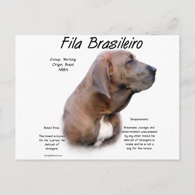 Fila Brasileiro-historikdesign Vykort (Framsida)