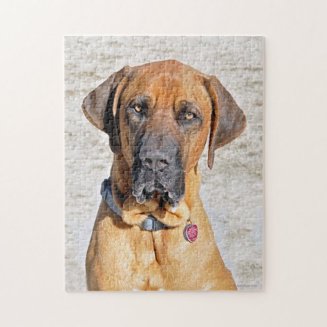 Fila Brasiliero Mastiff Jigszle Puzzle Pussel (Vertikal)