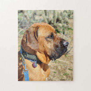 Fila Brasiliero Mastiff Jigszle Puzzle Pussel
