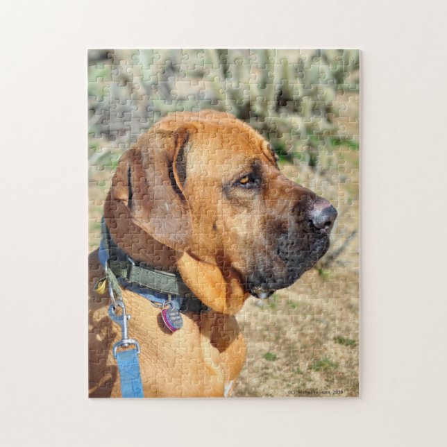Fila Brasiliero Mastiff Jigszle Puzzle Pussel (Vertikal)