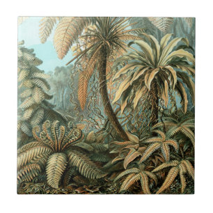Filicinae av Ernst Haeckel, Vintage Fern Plants Kakelplatta