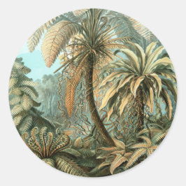 Filicinae av Ernst Haeckel, Vintage Fern Plants Runt Klistermärke