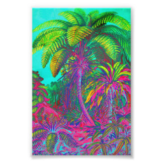 Filicinae Träd och Ferns Fototryck